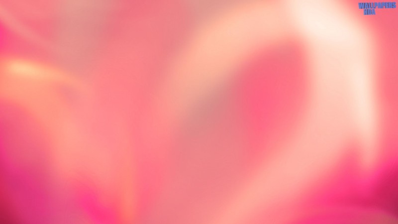 Colorful aurora pinkish wallpaper 1600x900 Article