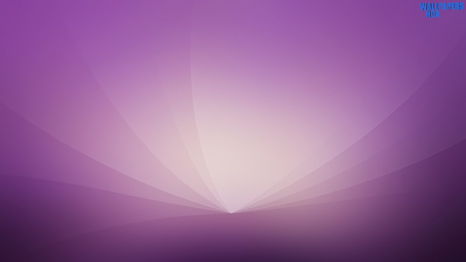 Abstract graphic design purple wallpaper 1600x900